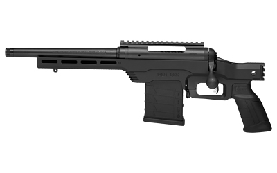 SV578001jpg GunHippo