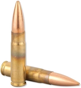 a300aac3nshellsjpg GunHippo