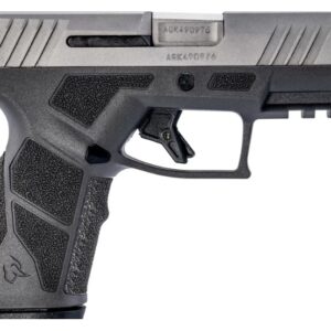 GX2 9MM 3.38" Grey/SS (2) 10-rd