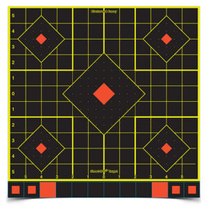 BC SHOOT-N-C 12 SIGHT IN TARGET 100PK