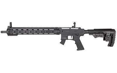 DYRTM22FLASH181jpg GunHippo