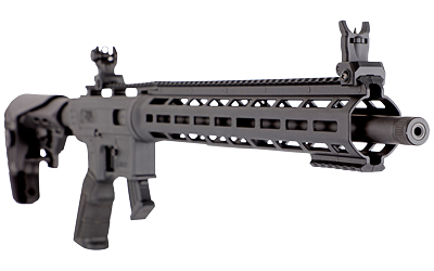 DYRTM22FLASH183jpg GunHippo