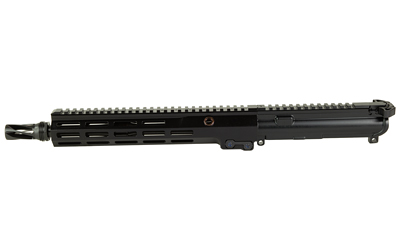GEI08545B3jpg GunHippo