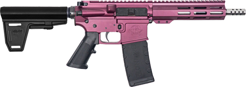 GL15223SSPBCHYjpg GunHippo