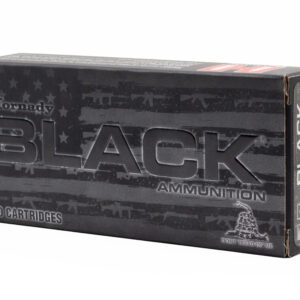 HORN BLACK 338ARC 215GR FTX 20/10