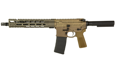 PWSMK1M2P22311DENB1jpg GunHippo