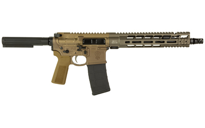PWSMK1M2P22311DENB2jpg GunHippo