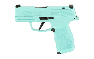 SG365X9BXR3PREBSKY1jpg GunHippo