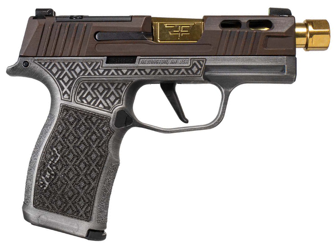 SIG20300174041103jpg GunHippo