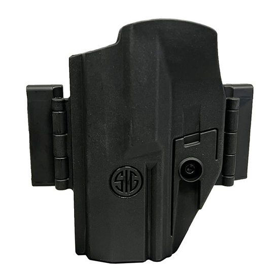 SIG208900758jpg GunHippo