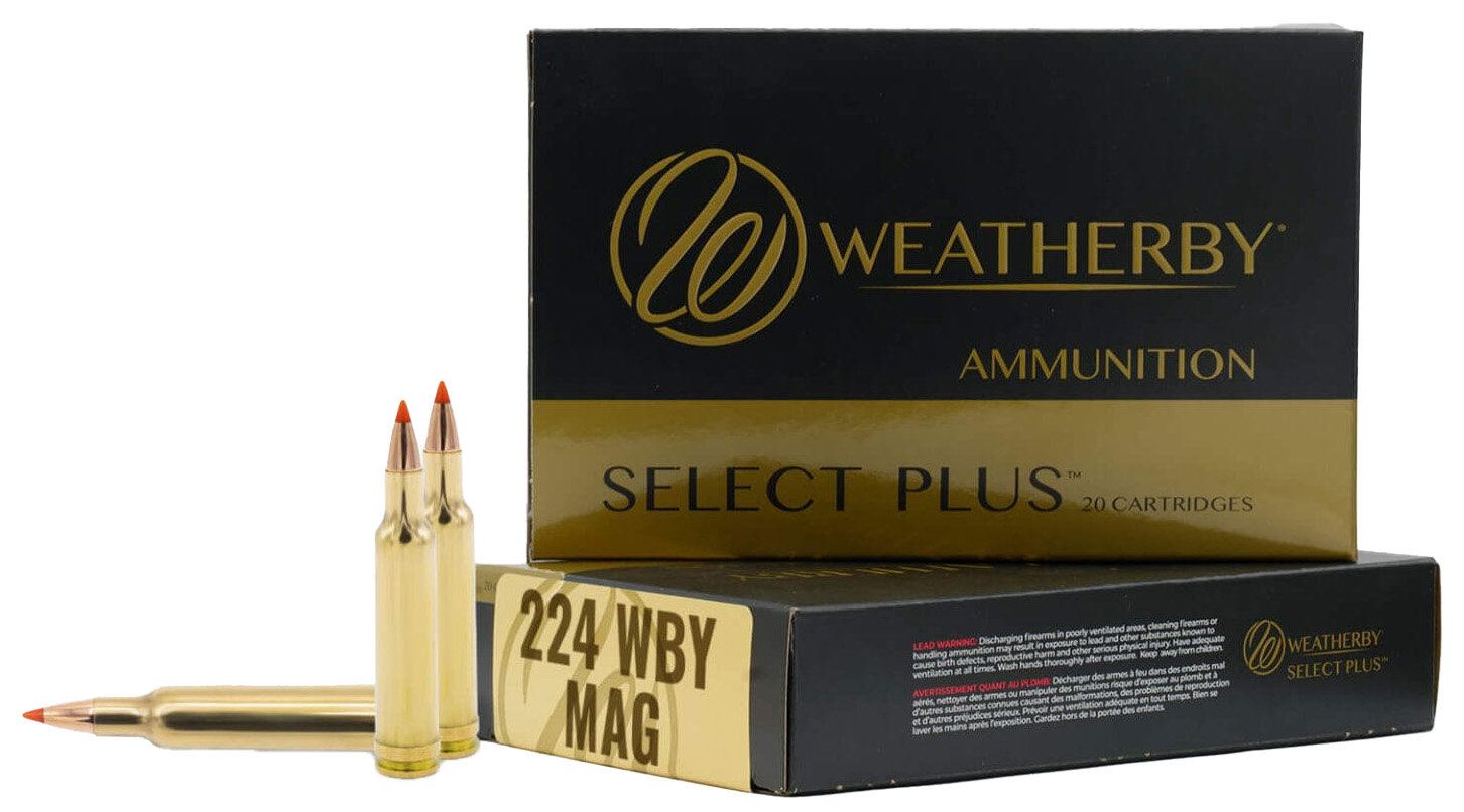 WBY20M22437HCBjpg GunHippo