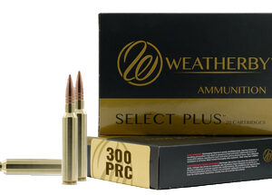 WBY AMMO 300PRC 195GR HAMMER CUSTOM 20/10