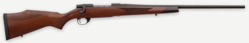 WBY20VDT257WR4Tjpg GunHippo