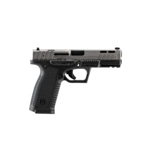 Bersa BP9FS 9MM 17Rd Magazine (2) 4.25" Barrel Matte Black Optics Ready