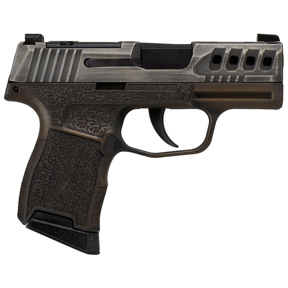 https3A2F2Fmediachattanoogashootingcom2Fimages2Fproduct2FXI681228GB3652FGoldBugP365BBRjpg GunHippo