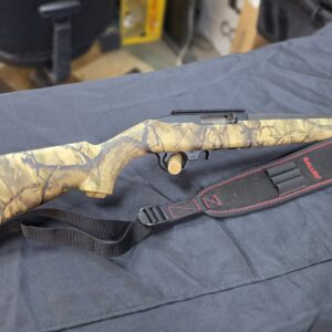 Ruger 10/22