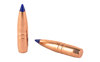 BB302954jpg GunHippo