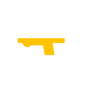 Air Guns