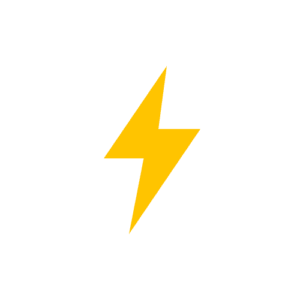 TASER/Stun Gun