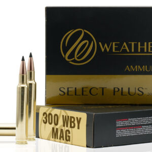 WBY AMMO 300WBY 180GR TGK 20/10