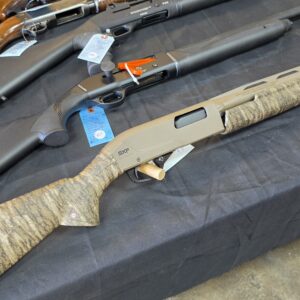 Winchester SXP